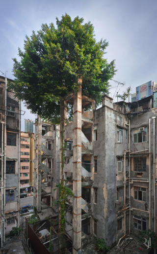 Illustration for article titled These post-apocalypse images of Hong Kong are actually real photos